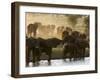 Elephants (Loxodonta Africana), Lualenyi Game Reserve, Kenya, East Africa, Africa-Sergio Pitamitz-Framed Premium Photographic Print