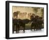 Elephants (Loxodonta Africana), Lualenyi Game Reserve, Kenya, East Africa, Africa-Sergio Pitamitz-Framed Premium Photographic Print