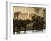 Elephants (Loxodonta Africana), Lualenyi Game Reserve, Kenya, East Africa, Africa-Sergio Pitamitz-Framed Premium Photographic Print
