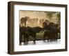 Elephants (Loxodonta Africana), Lualenyi Game Reserve, Kenya, East Africa, Africa-Sergio Pitamitz-Framed Photographic Print