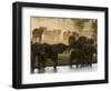 Elephants (Loxodonta Africana), Lualenyi Game Reserve, Kenya, East Africa, Africa-Sergio Pitamitz-Framed Photographic Print