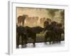 Elephants (Loxodonta Africana), Lualenyi Game Reserve, Kenya, East Africa, Africa-Sergio Pitamitz-Framed Photographic Print