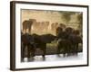 Elephants (Loxodonta Africana), Lualenyi Game Reserve, Kenya, East Africa, Africa-Sergio Pitamitz-Framed Photographic Print