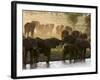 Elephants (Loxodonta Africana), Lualenyi Game Reserve, Kenya, East Africa, Africa-Sergio Pitamitz-Framed Photographic Print