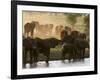 Elephants (Loxodonta Africana), Lualenyi Game Reserve, Kenya, East Africa, Africa-Sergio Pitamitz-Framed Photographic Print