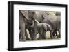 Elephants (Loxodonta Africana), Masai Mara National Reserve, Kenya, East Africa, Africa-Ann and Steve Toon-Framed Photographic Print