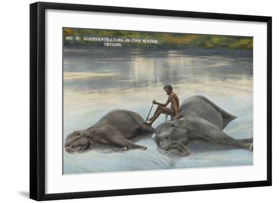 Photographic Print, , large