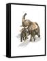 Elephants, Mother and Son-null-Framed Stretched Canvas
