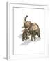 Elephants, Mother and Son-null-Framed Art Print