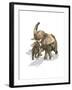 Elephants, Mother and Son-null-Framed Art Print