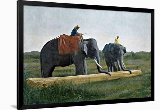 Elephants Moving a Log, Ceylon, C1890-Gillot-Framed Giclee Print
