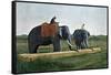 Elephants Moving a Log, Ceylon, C1890-Gillot-Framed Stretched Canvas