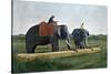 Elephants Moving a Log, Ceylon, C1890-Gillot-Stretched Canvas