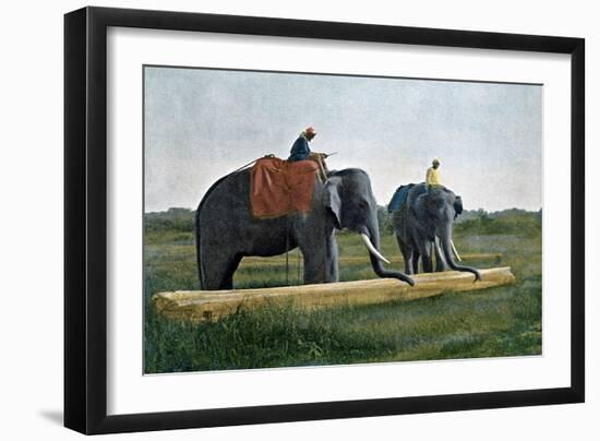 Elephants Moving a Log, Ceylon, C1890-Gillot-Framed Giclee Print