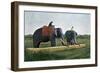 Elephants Moving a Log, Ceylon, C1890-Gillot-Framed Premium Giclee Print