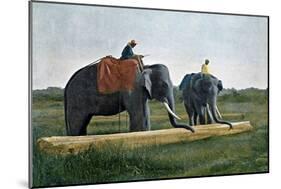 Elephants Moving a Log, Ceylon, C1890-Gillot-Mounted Premium Giclee Print