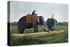 Elephants Moving a Log, Ceylon, C1890-Gillot-Stretched Canvas