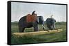Elephants Moving a Log, Ceylon, C1890-Gillot-Framed Stretched Canvas