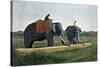 Elephants Moving a Log, Ceylon, C1890-Gillot-Stretched Canvas