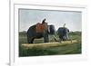 Elephants Moving a Log, Ceylon, C1890-Gillot-Framed Giclee Print