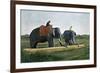 Elephants Moving a Log, Ceylon, C1890-Gillot-Framed Giclee Print