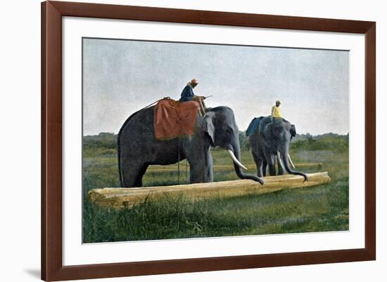 Elephants Moving a Log, Ceylon, C1890-Gillot-Framed Giclee Print