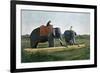 Elephants Moving a Log, Ceylon, C1890-Gillot-Framed Giclee Print