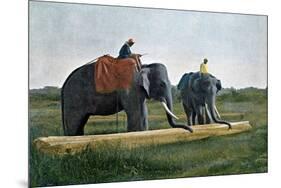 Elephants Moving a Log, Ceylon, C1890-Gillot-Mounted Giclee Print