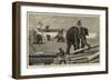Elephants Moving Timber at Moulmein, British Burmah-null-Framed Giclee Print