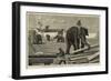 Elephants Moving Timber at Moulmein, British Burmah-null-Framed Giclee Print