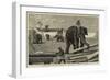 Elephants Moving Timber at Moulmein, British Burmah-null-Framed Giclee Print