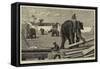 Elephants Moving Timber at Moulmein, British Burmah-null-Framed Stretched Canvas