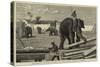 Elephants Moving Timber at Moulmein, British Burmah-null-Stretched Canvas