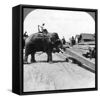 Elephants Moving Timber, Rangoon, Burma (Myanma), 1900s-Underwood & Underwood-Framed Stretched Canvas