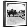 Elephants Moving Timber, Rangoon, Burma (Myanma), 1900s-Underwood & Underwood-Framed Photographic Print