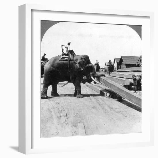 Elephants Moving Timber, Rangoon, Burma (Myanma), 1900s-Underwood & Underwood-Framed Photographic Print