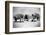 Elephants Play Beach Cricket-null-Framed Photographic Print