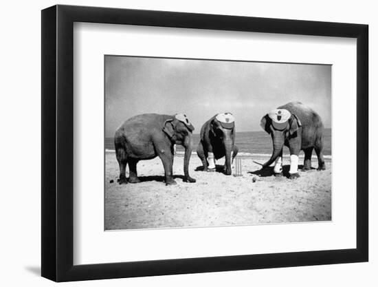 Elephants Play Beach Cricket-null-Framed Photographic Print