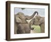 Elephants Play Fighting, Corbett National Park, Uttaranchal, India-Jagdeep Rajput-Framed Photographic Print