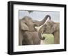 Elephants Play Fighting, Corbett National Park, Uttaranchal, India-Jagdeep Rajput-Framed Photographic Print