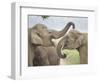 Elephants Play Fighting, Corbett National Park, Uttaranchal, India-Jagdeep Rajput-Framed Photographic Print