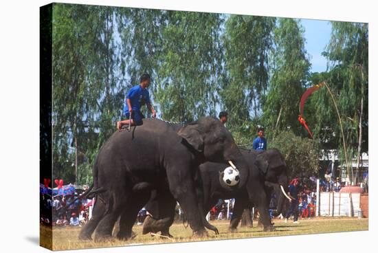 Elephants Playing Soccer, Elephant Round-Up, Surin, Thailand-null-Stretched Canvas