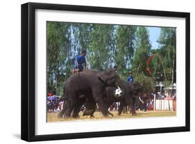 Elephants Playing Soccer, Elephant Round-Up, Surin, Thailand-null-Framed Premium Photographic Print