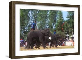 Elephants Playing Soccer, Elephant Round-Up, Surin, Thailand-null-Framed Photographic Print