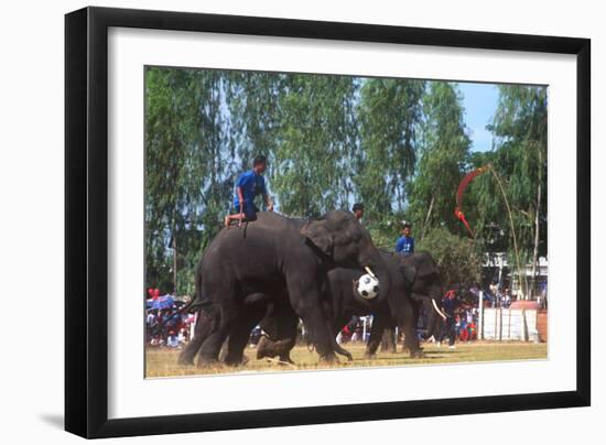 Elephants Playing Soccer, Elephant Round-Up, Surin, Thailand-null-Framed Photographic Print