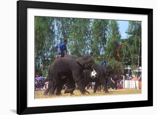 Elephants Playing Soccer, Elephant Round-Up, Surin, Thailand-null-Framed Photographic Print