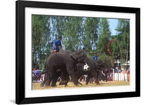 Elephants Playing Soccer, Elephant Round-Up, Surin, Thailand-null-Framed Photographic Print