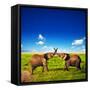 Elephants Playing With Their Trunks On African Savanna. Safari In Amboseli, Kenya, Africa-Michal Bednarek-Framed Stretched Canvas