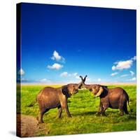 Elephants Playing With Their Trunks On African Savanna. Safari In Amboseli, Kenya, Africa-Michal Bednarek-Stretched Canvas