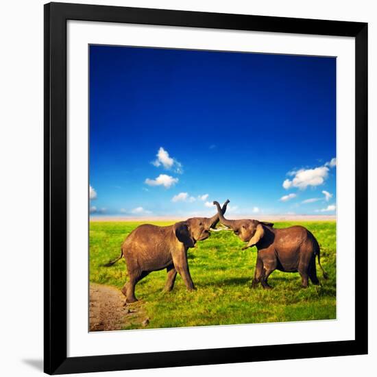 Elephants Playing With Their Trunks On African Savanna. Safari In Amboseli, Kenya, Africa-Michal Bednarek-Framed Photographic Print